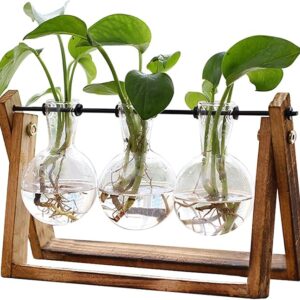 Air Planter Bulb Glass Vase Metal Swivel Holder