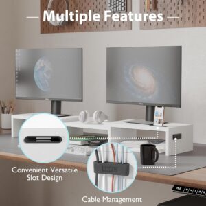Dual Monitor Stand Riser with Smartphone Holder